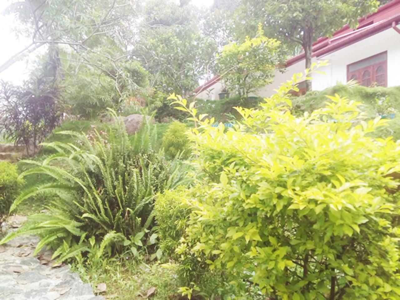Ella Gate Resort Kumbalwela Exterior foto